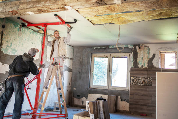 Best Insulation Maintenance and Repair in Collins, MS