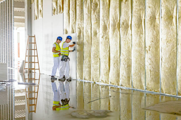 Best Insulation for Specific Applications in Collins, MS